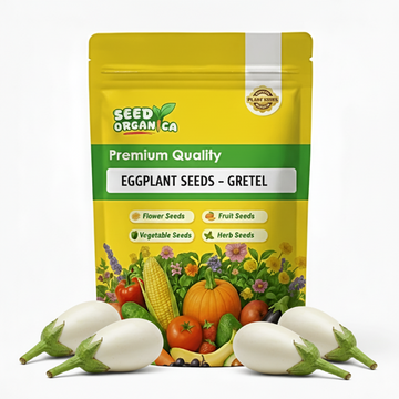 Eggplant Seeds - Gretel