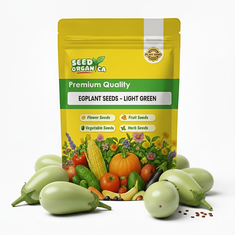 Eggplant Seeds - Light Green