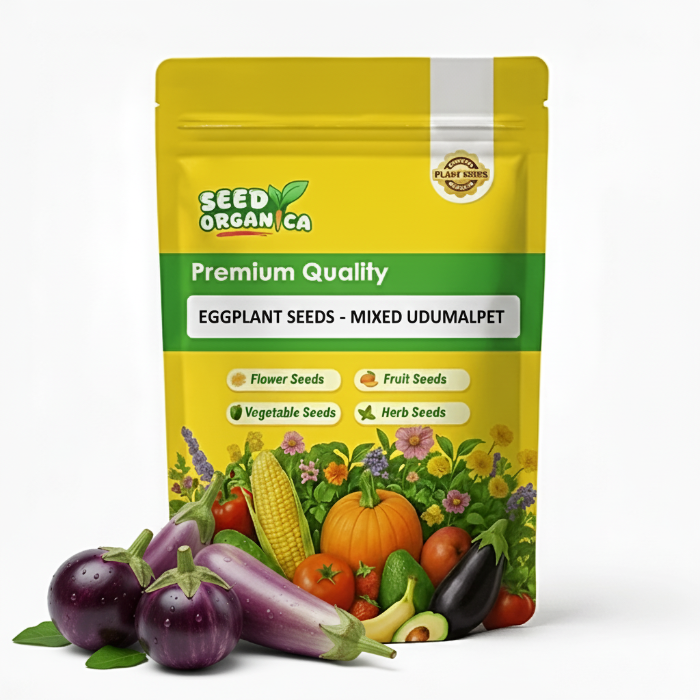 Eggplant Seeds - Mixed Udumalpet