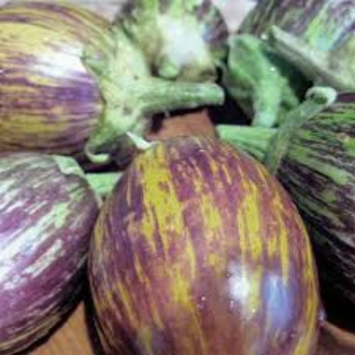 Eggplant Seeds - Mixed Udumalpet