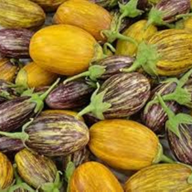Eggplant Seeds - Mixed Udumalpet