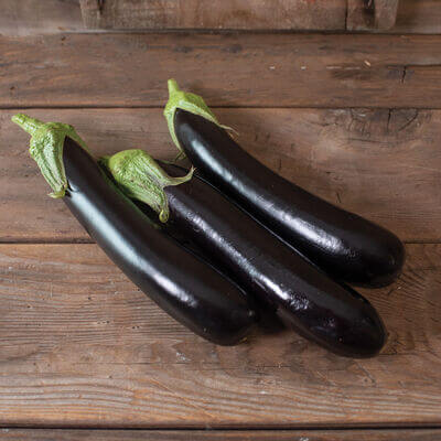 Eggplant Seeds - Orient