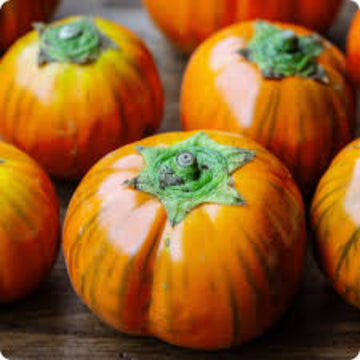 Eggplant Seeds - Sweet Orange
