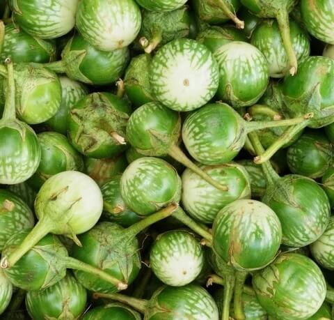 Eggplant Seeds - Thai
