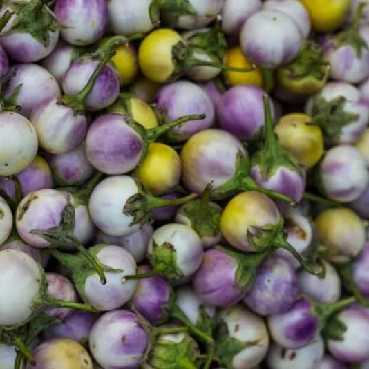 Eggplant Seeds - Violet and Yellow