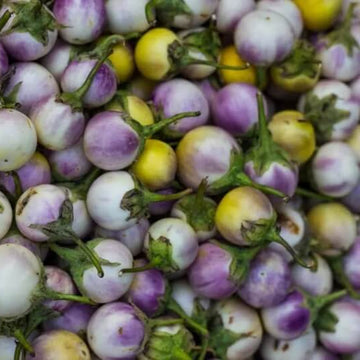 Eggplant Seeds - Violet and Yellow