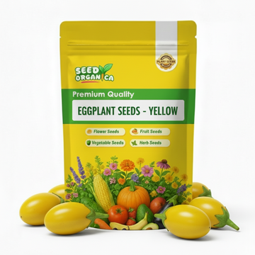 Eggplant Seeds - Yellow