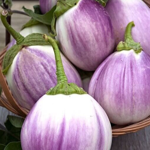 Eggplant Seeds – Lavender