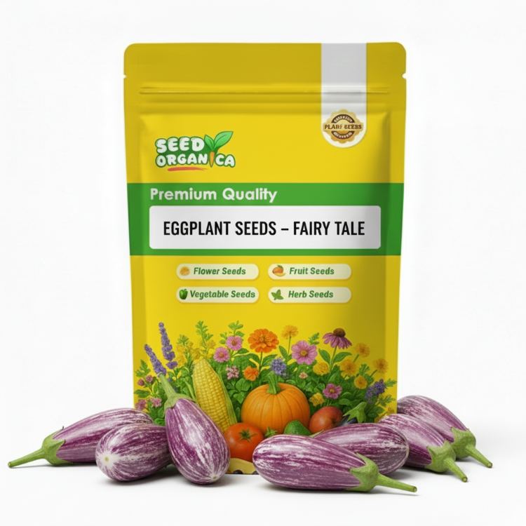 Eggplant Seeds – Fairy Tale