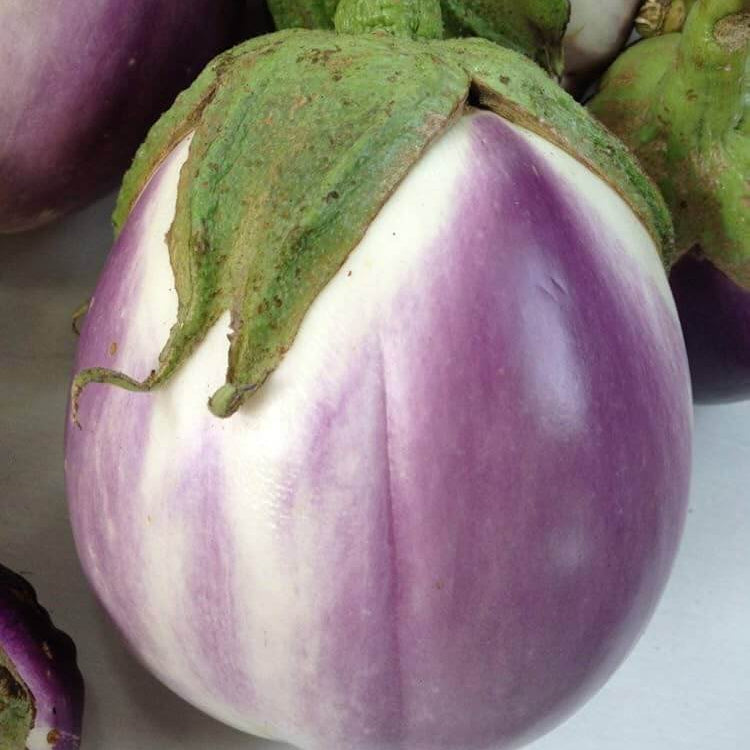Eggplant Seeds – Lavender
