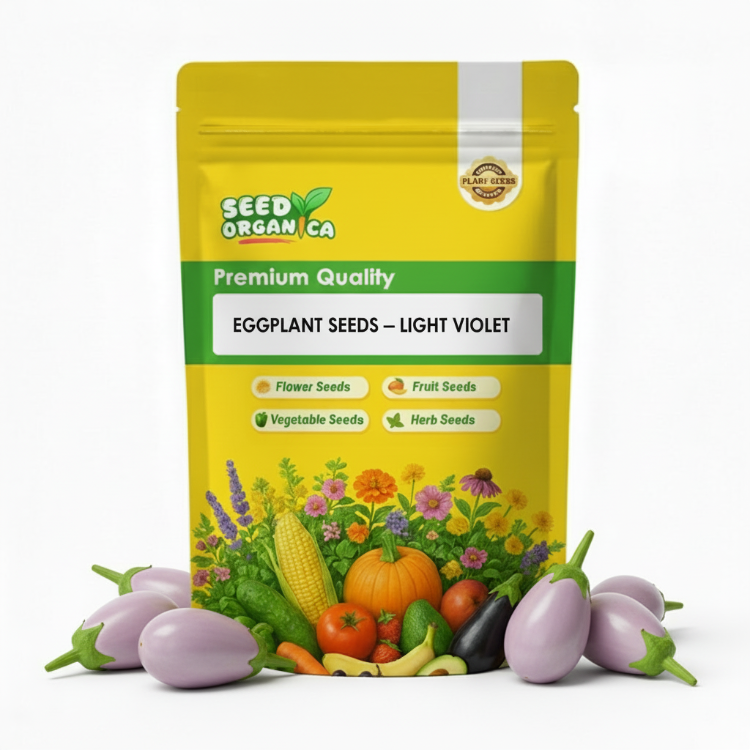 Eggplant Seeds – Light Violet