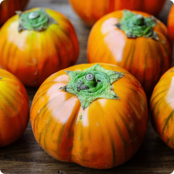 Eggplant Seeds – Orange