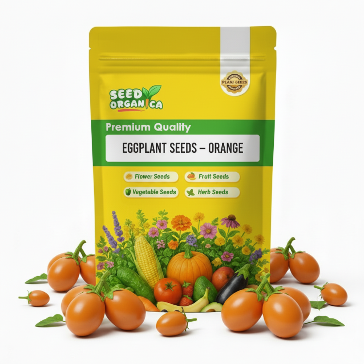 Eggplant Seeds – Orange