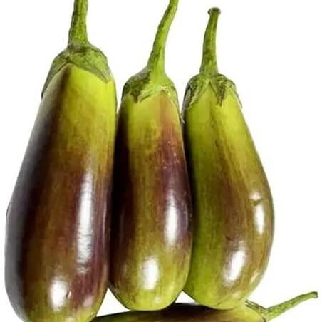 Eggplant Seeds – Red and Green