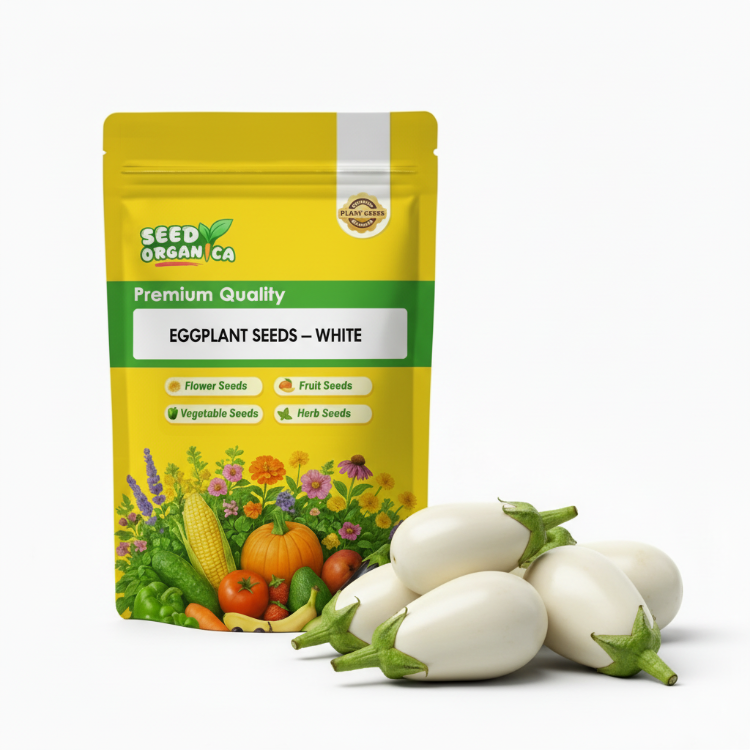 Eggplant Seeds – White