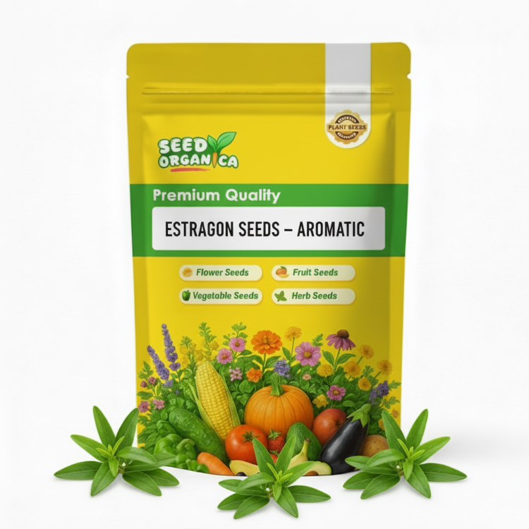 Estragon Seeds – Aromatic