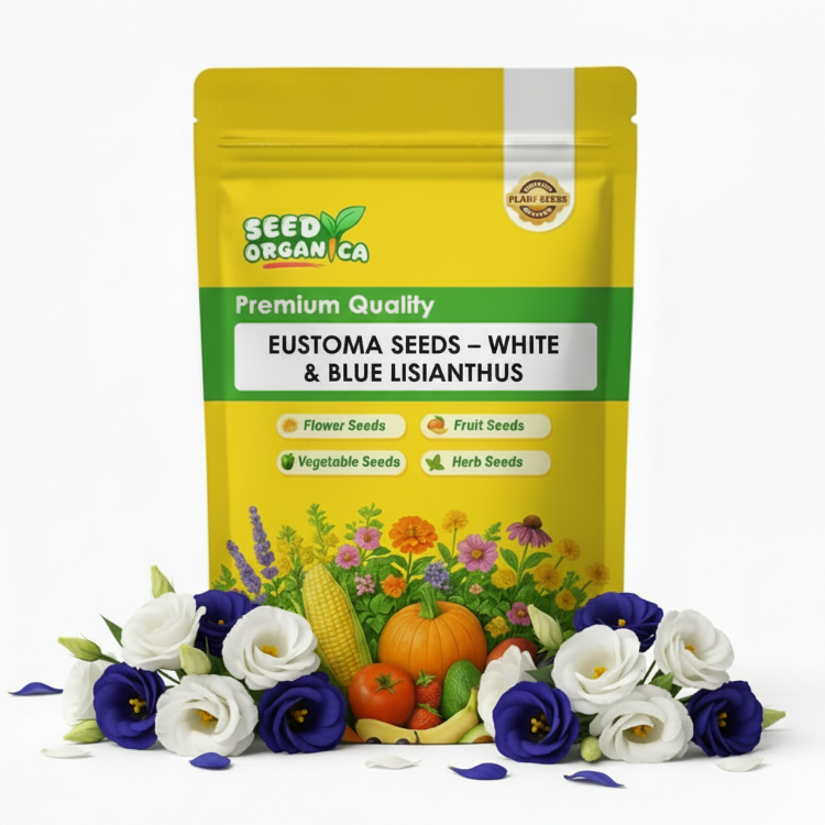 Eustoma Seeds – White & Blue Lisianthus