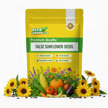 False Sunflower Seeds