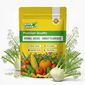 Fennel Seeds – Sweet Florence