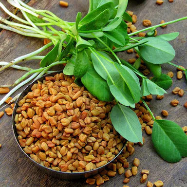 Fenugreek Seeds
