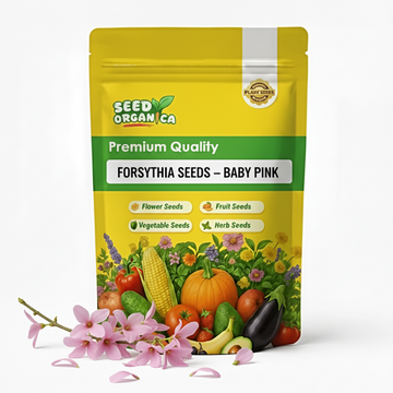 Forsythia Seeds – Baby Pink