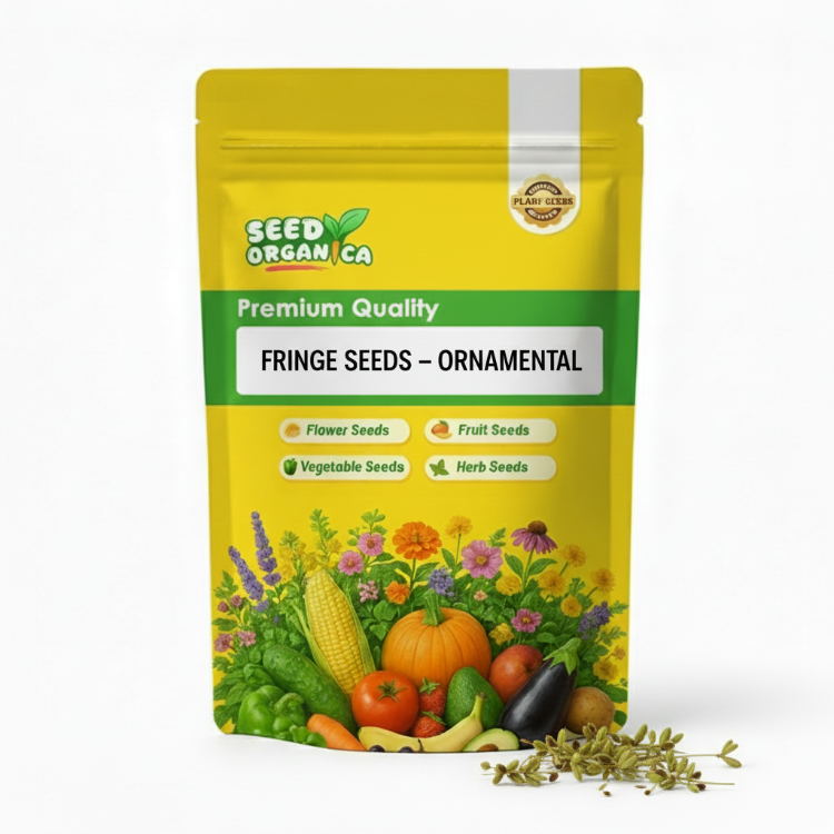 Fringe Seeds – Ornamental