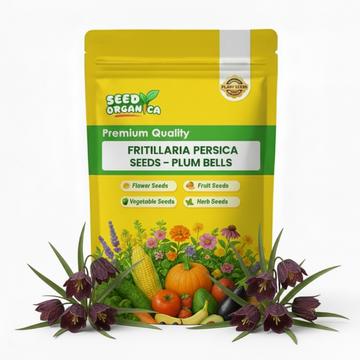 Fritillaria persica Seeds – Plum Bells