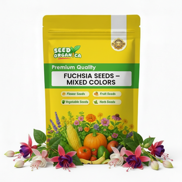Fuchsia Seeds – Mixed Colors