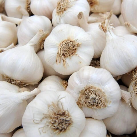 Garlic Vegetable Seeds- Clove