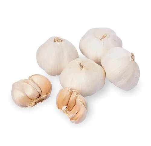 Garlic Vegetable Seeds- Clove
