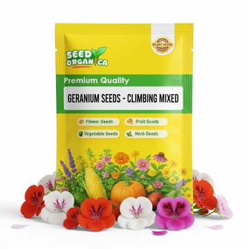 Climbing Mixed Geranium Seeds - Flower Plant
