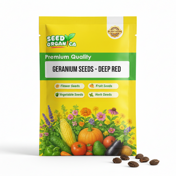 Deep Red Geranium Seeds - Flower Plant