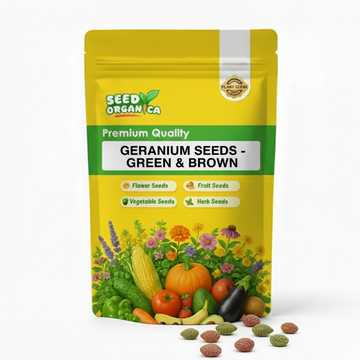 Green & Brown Geranium Seeds - Flower Plant