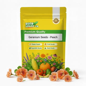 Geranium Seeds - Peach