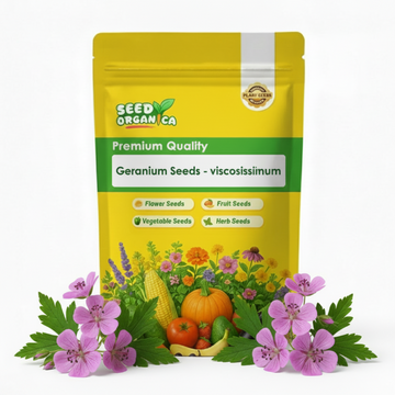 Geranium Seeds - viscosissimum