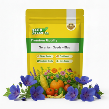 Geranium Seeds – Blue