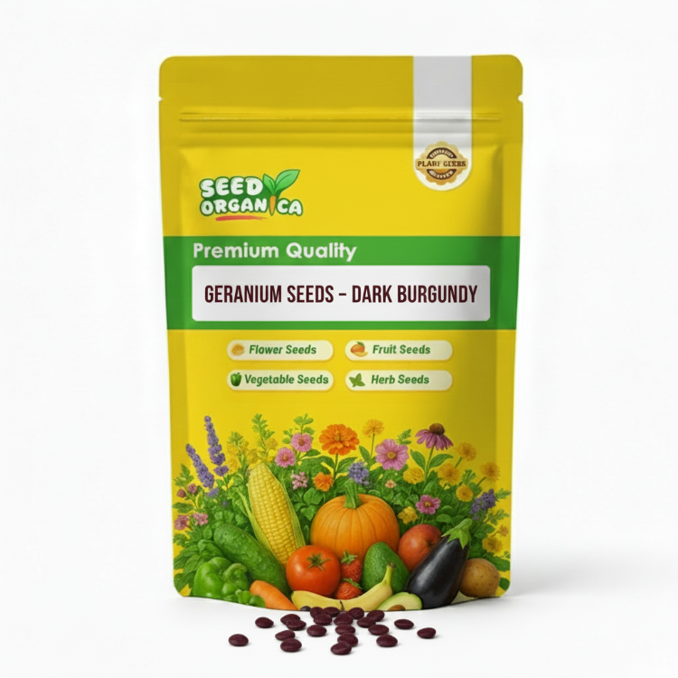 Geranium Seeds – Dark Burgundy
