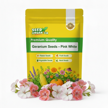 Geranium Seeds – Pink White
