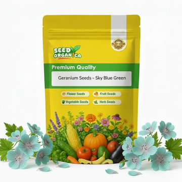 Geranium Seeds – Sky Blue Green
