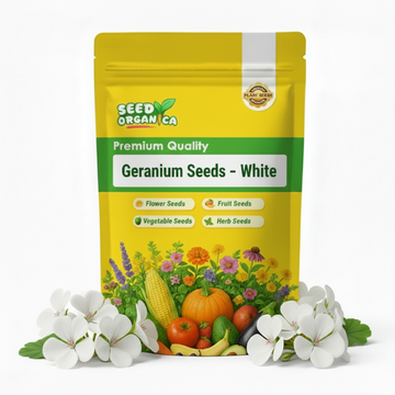 Geranium Seeds – White