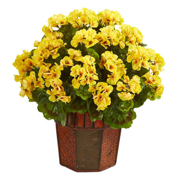 Geranium Seeds – Yellow Golden , Non-GMO
