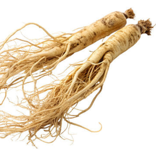Ginseng Seeds – Korean
