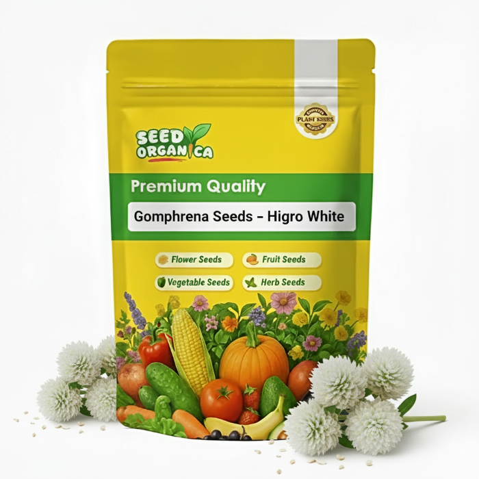Gomphrena Seeds – Higro White