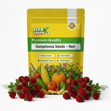 Gomphrena Seeds – Red