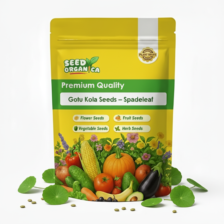 Gotu Kola Seeds – Spadeleaf
