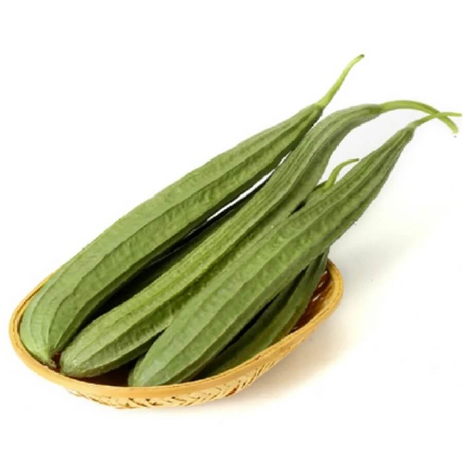 Gourd Seeds – Ridge 