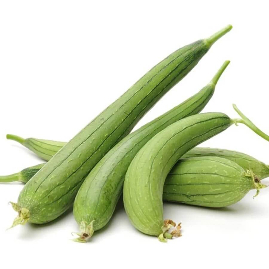 Gourd Seeds – Sponge 