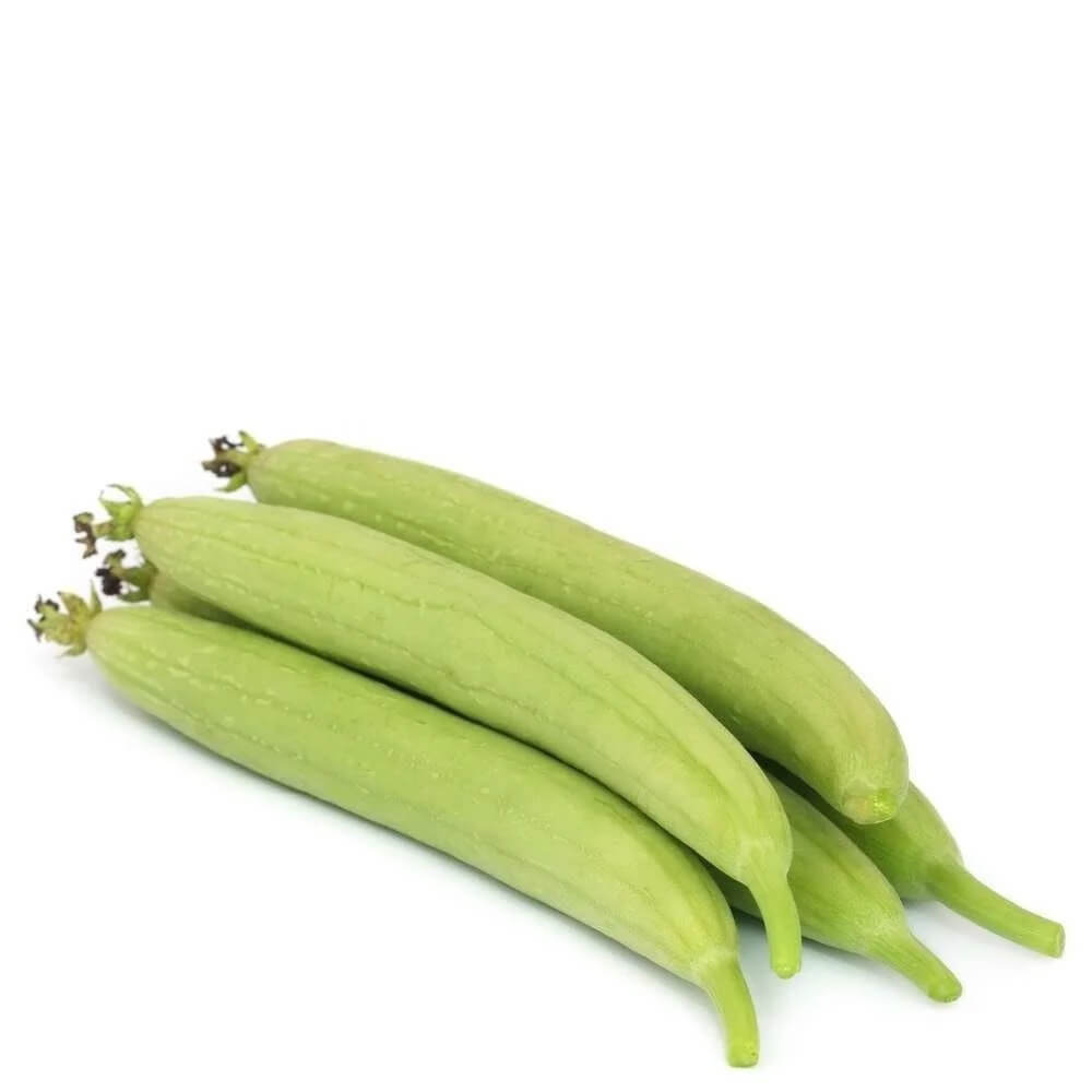 Gourd Seeds – Sponge 