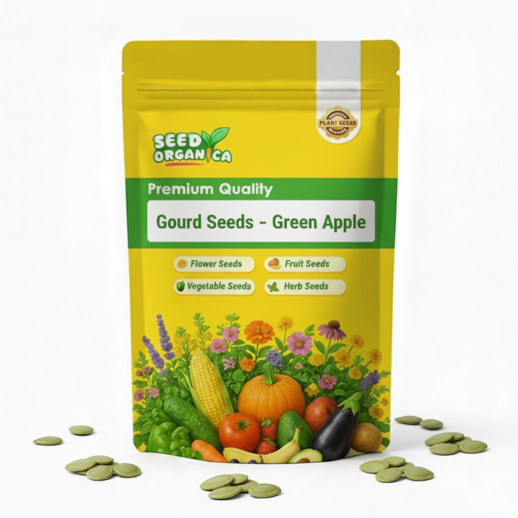 Gourd Seeds – Green Apple