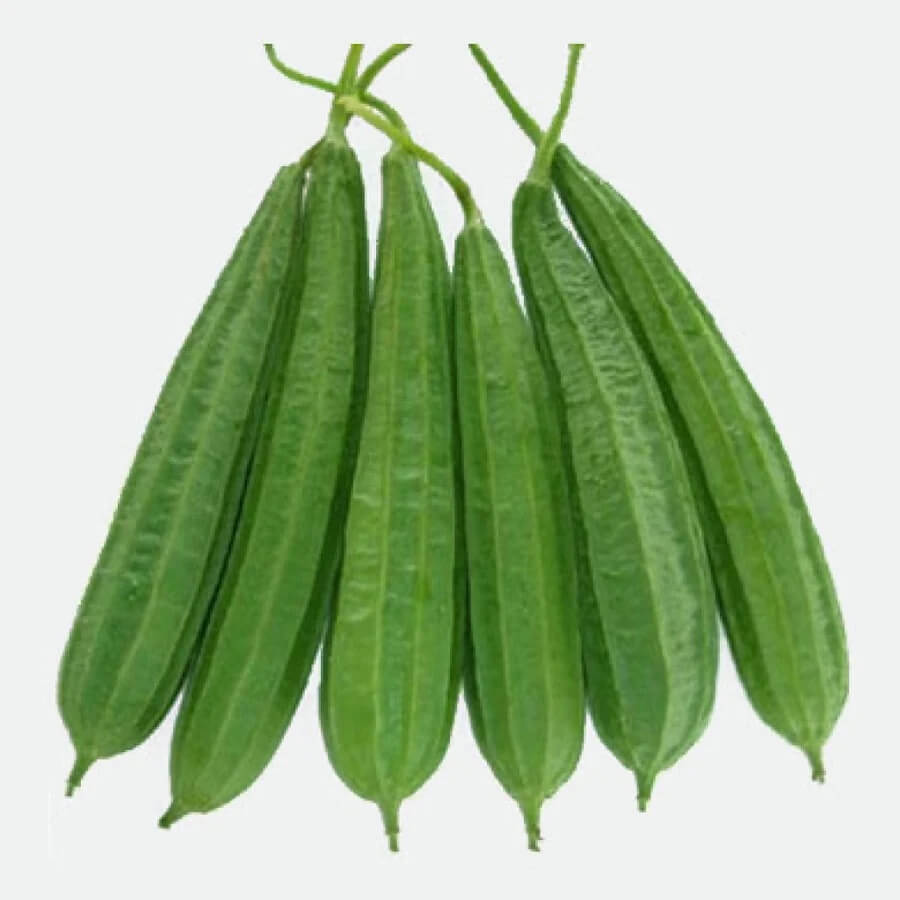 Gourd Seeds – Ridge 